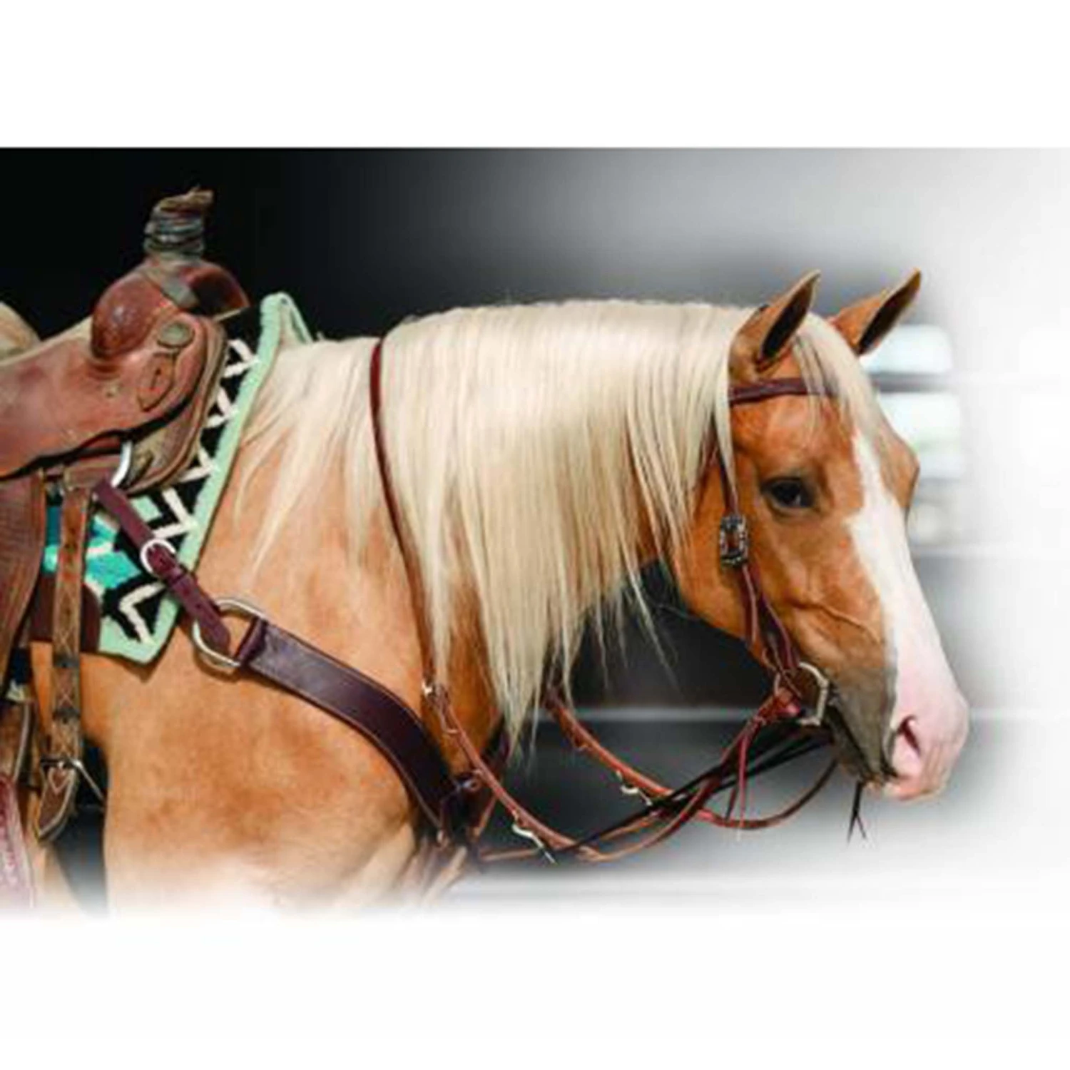 Professional's Choice Single Rein German Martingale 1 Professional's Choice Single Rein German Martingale