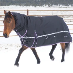 Classic Equine 10K Hooded Winter Horse Blanket- Black
