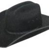 Youth Wool Felt Black Hat