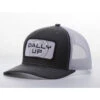Dally Up Grey And White Logo Cap