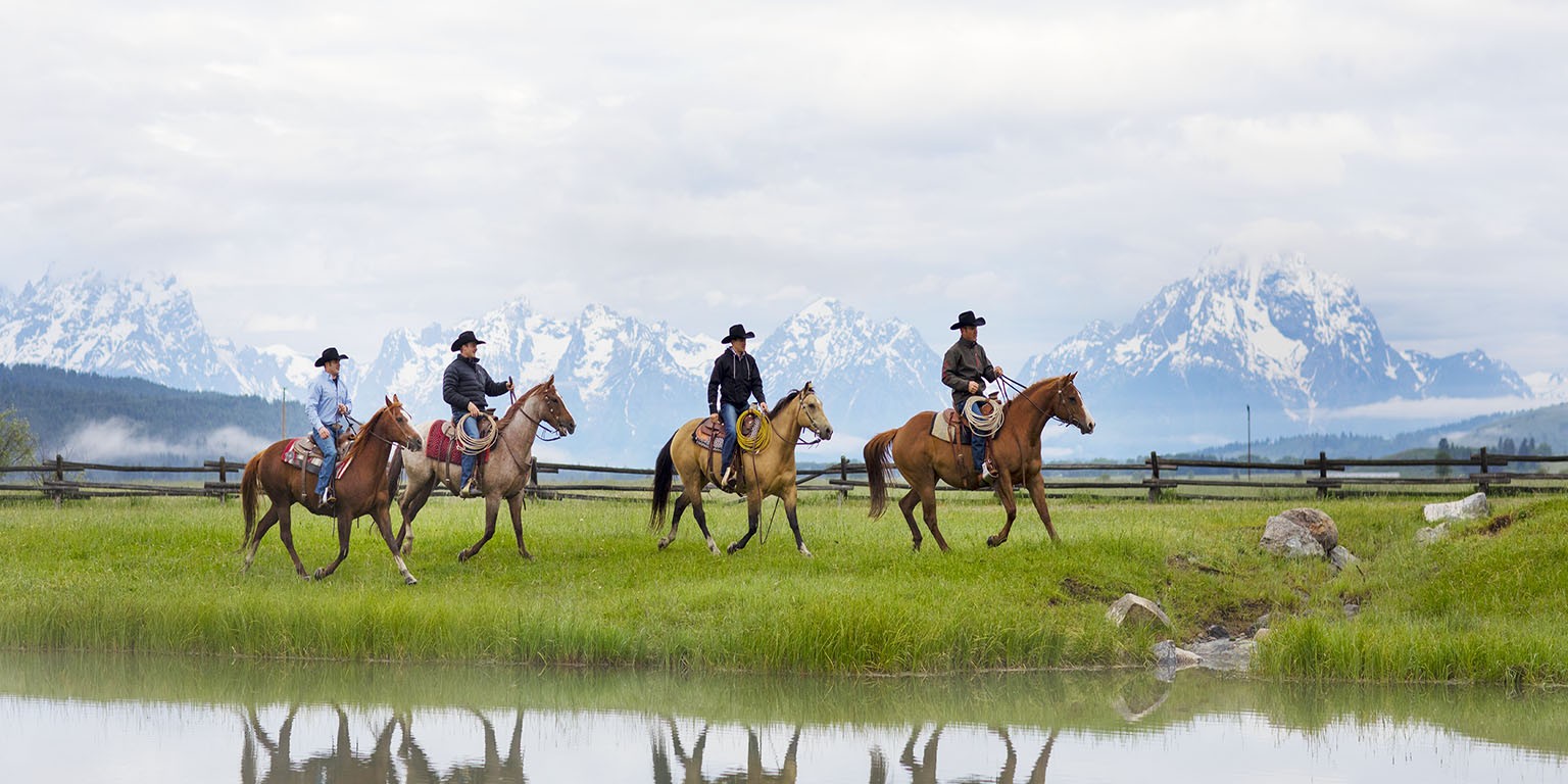 Western cowboy -Western cowboy ariat international cover